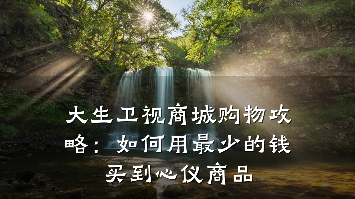 大生卫视商城购物攻略:如何用最少的钱买到心仪商品