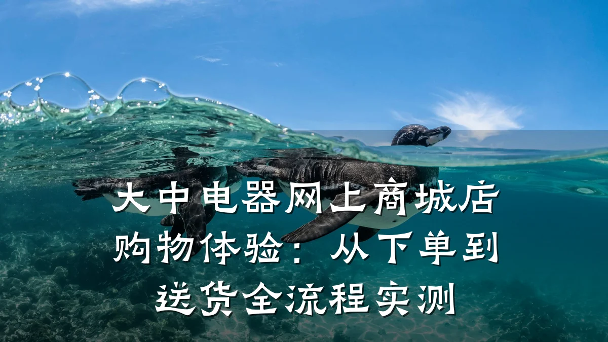 大中电器网上商城店购物体验:从下单到送货全流程实测