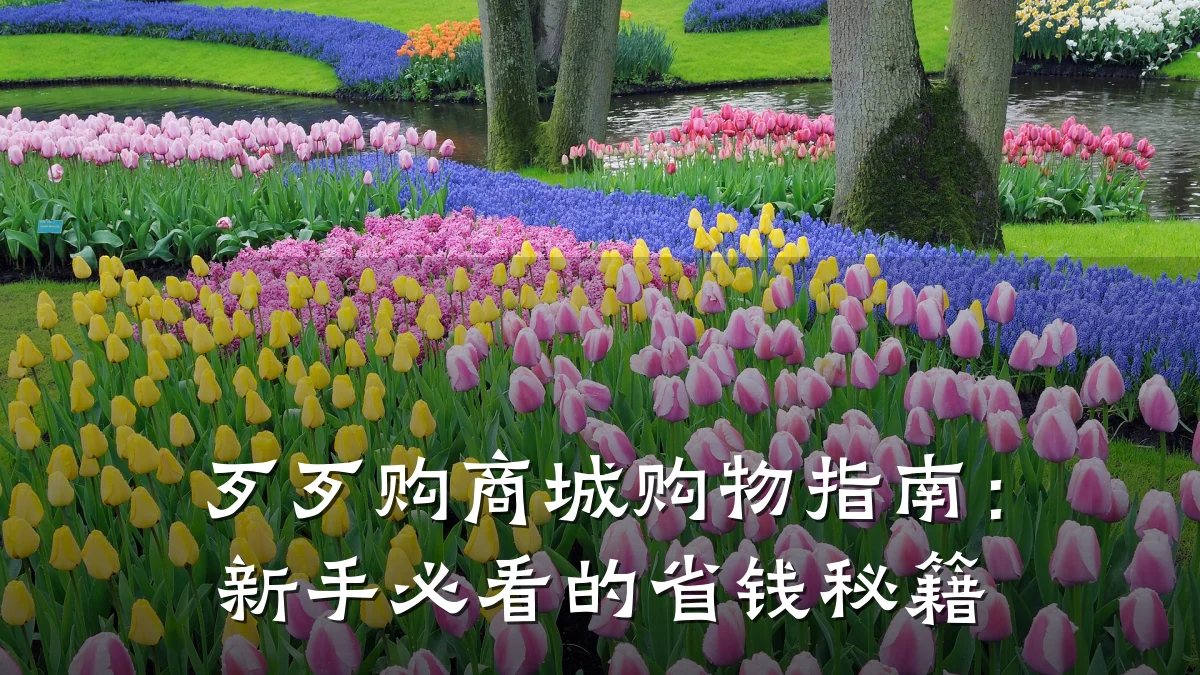 歹歹购商城购物指南:新手必看的省钱秘籍