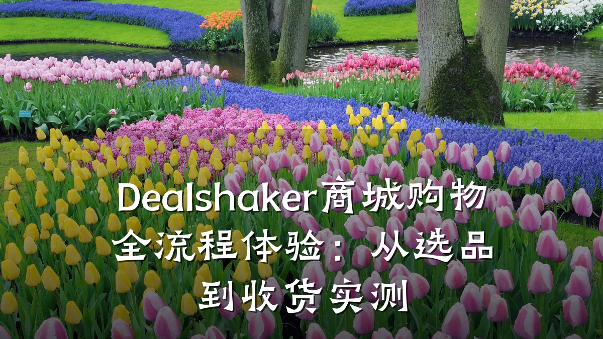 Dealshaker商城购物全流程体验：从选品到收货实测