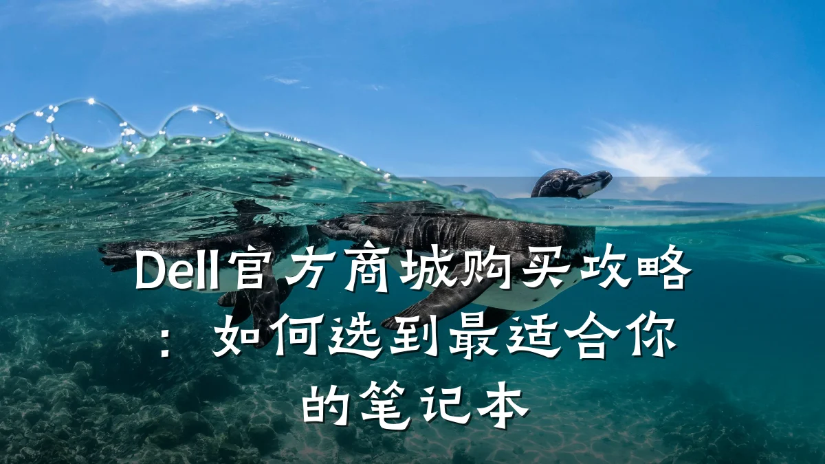 Dell官方商城购买攻略:如何选到最适合你的笔记本