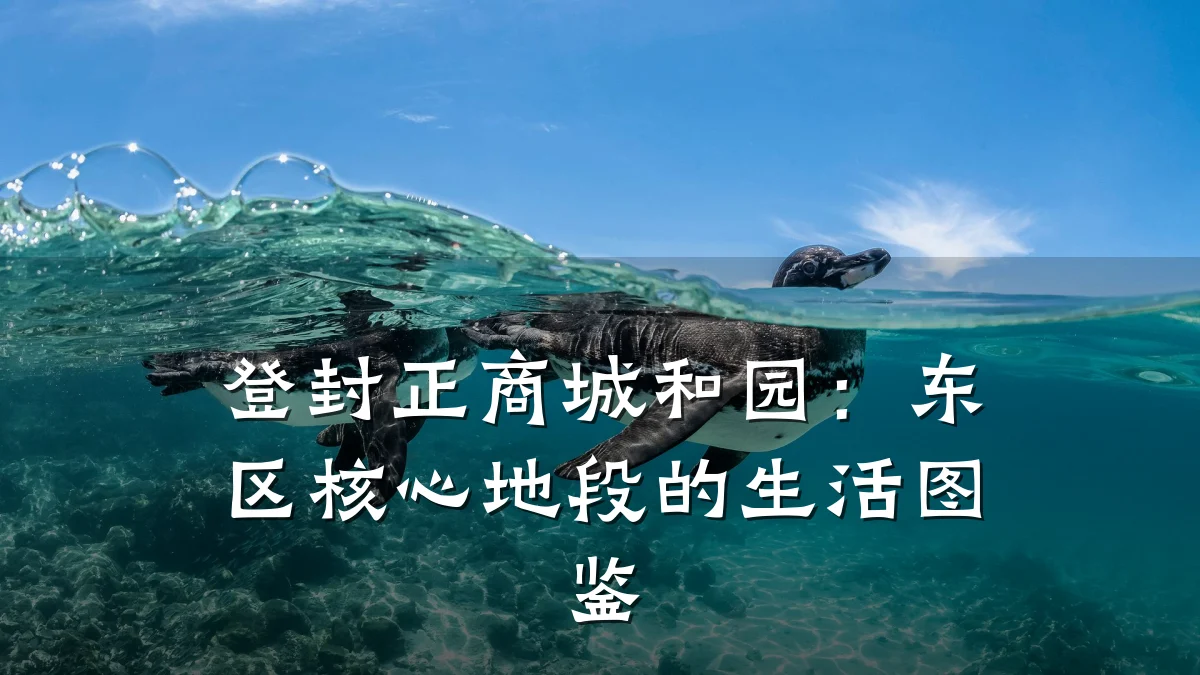 登封正商城和园:东区核心地段的生活图鉴
