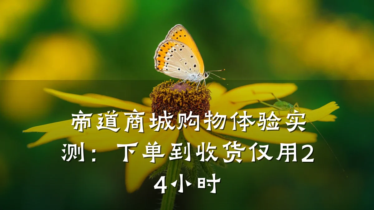 帝道商城购物体验实测:下单到收货仅用24小时