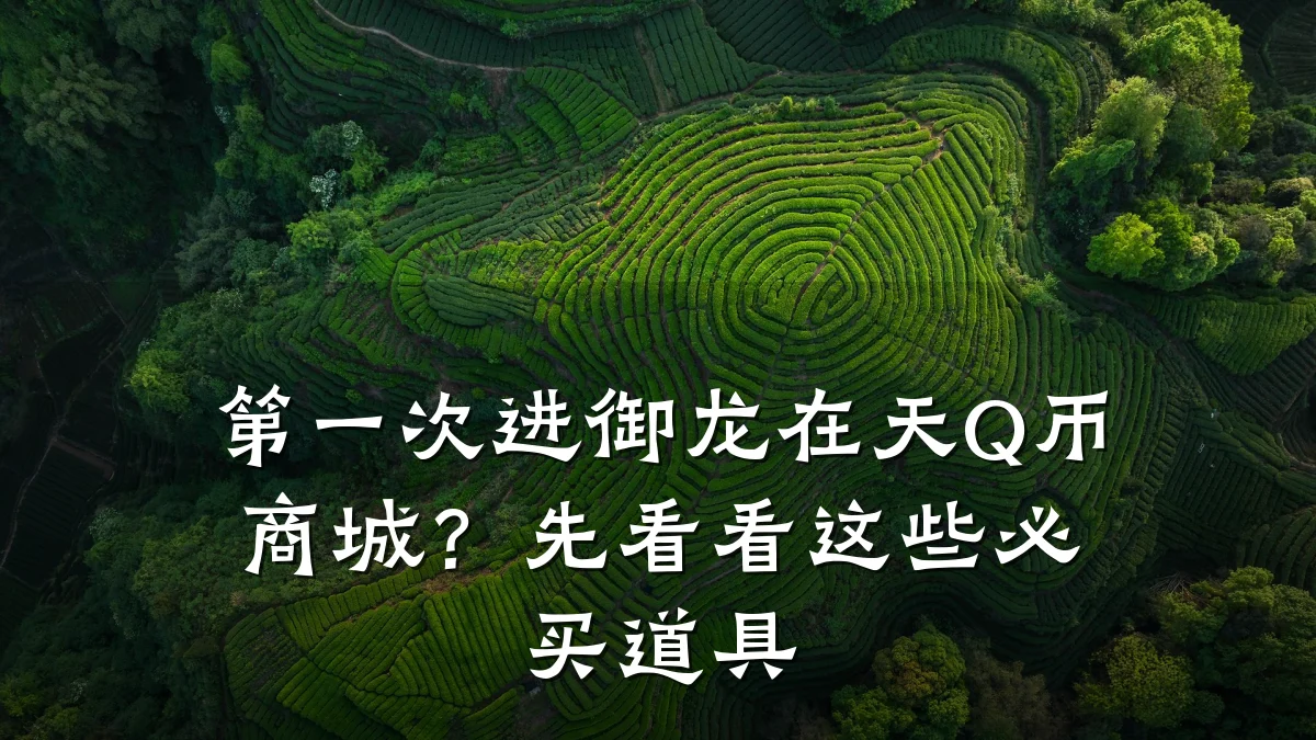 第一次进御龙在天Q币商城?先看看这些必买道具