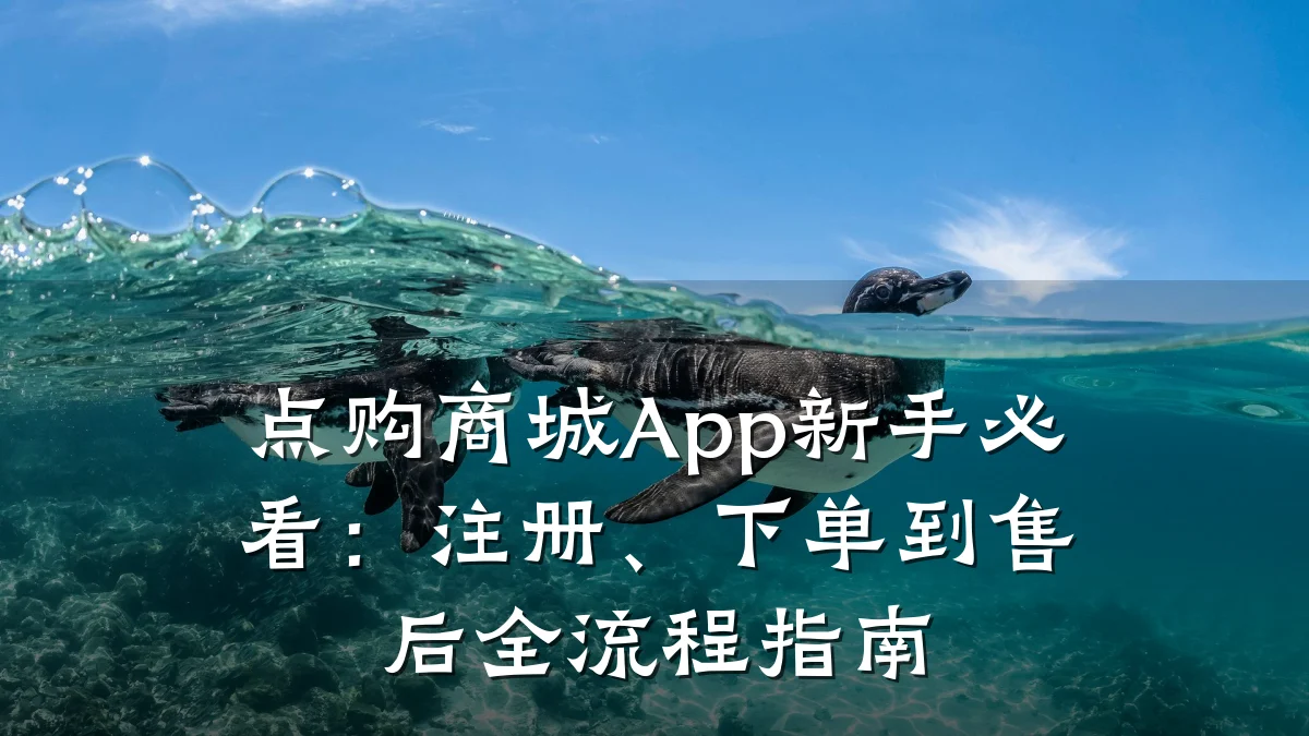 点购商城App新手必看：注册、下单到售后全流程指南