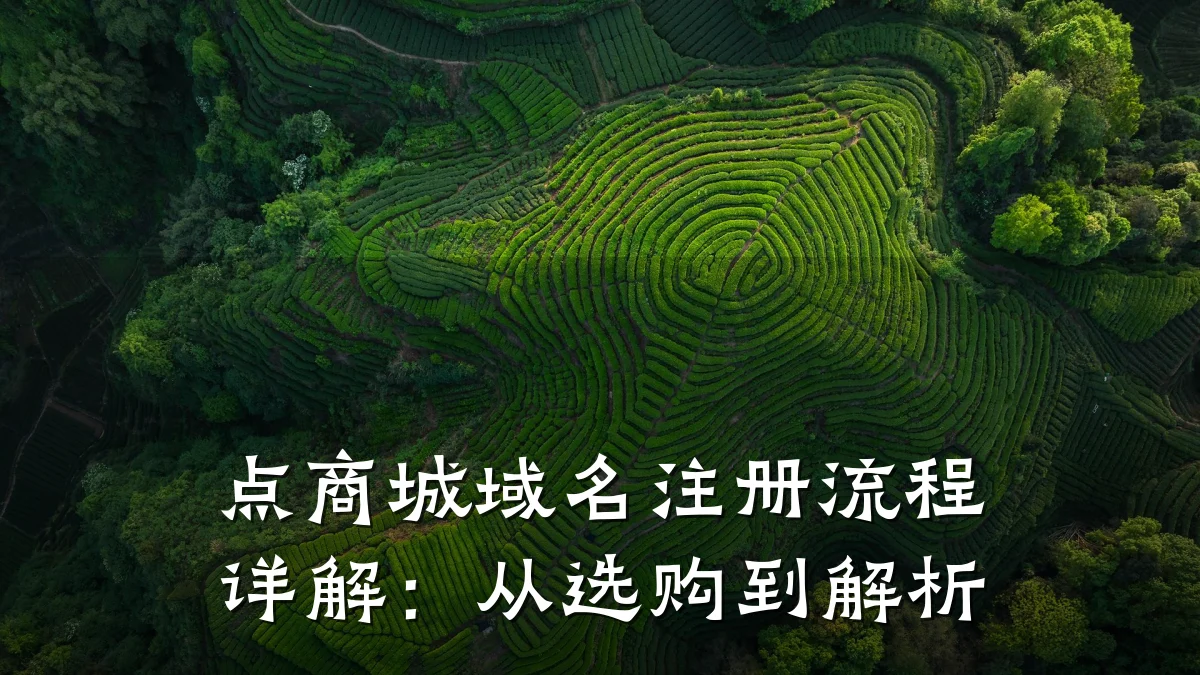 点商城域名注册流程详解：从选购到解析