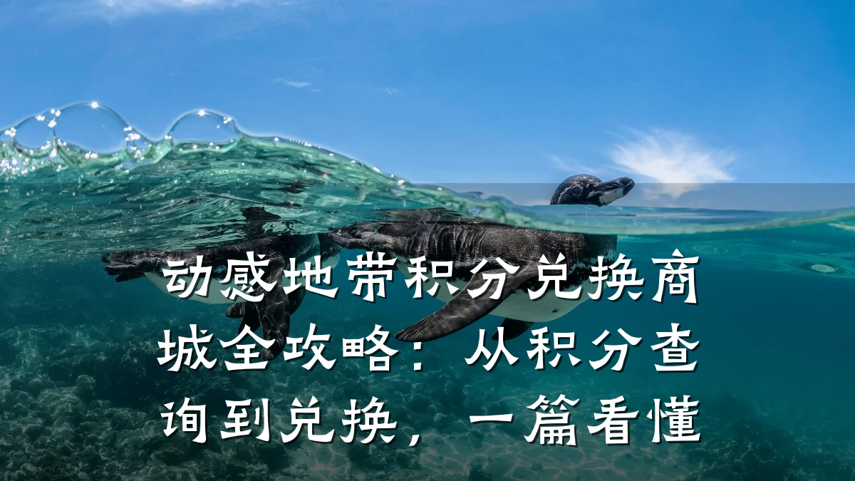 动感地带积分兑换商城全攻略：从积分查询到兑换，一篇看懂
