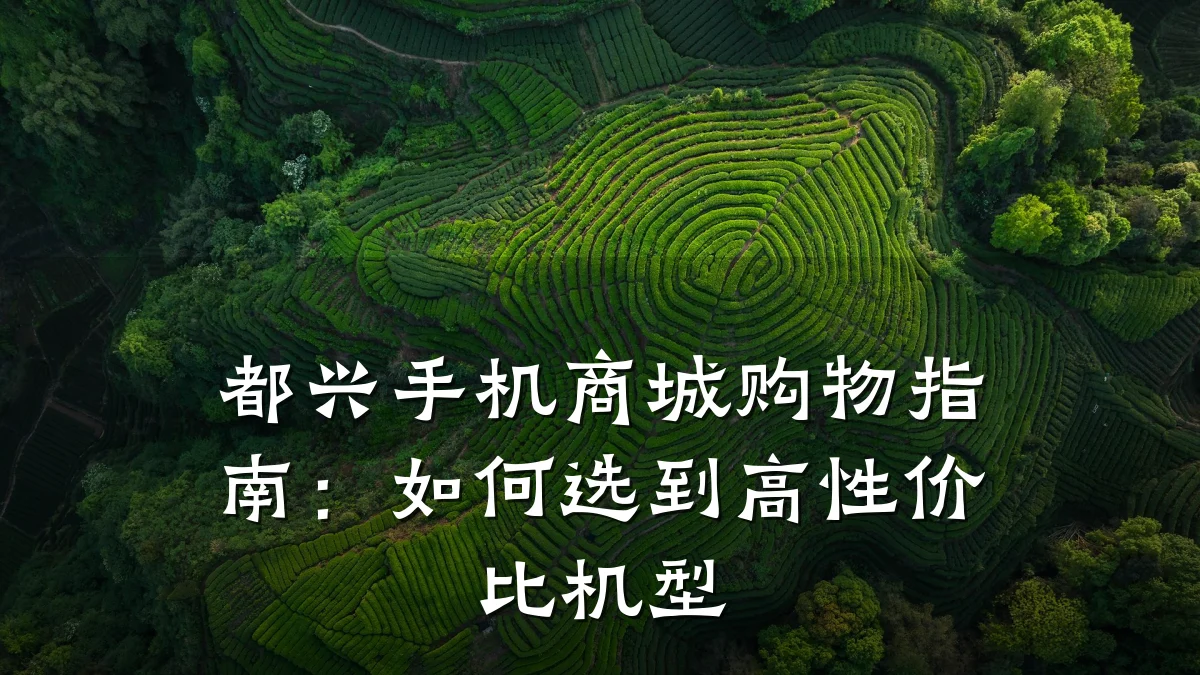 都兴手机商城购物指南:如何选到高性价比机型