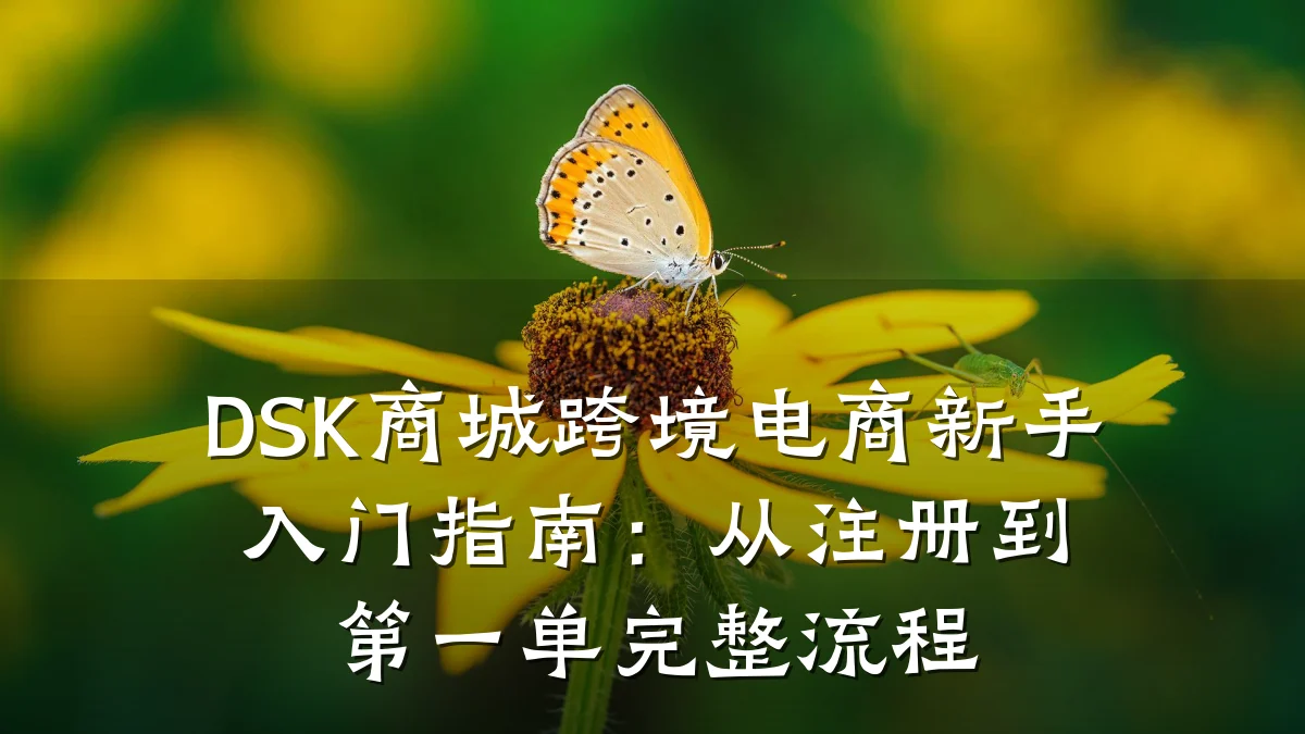 DSK商城跨境电商新手入门指南:从注册到第一单完整流程