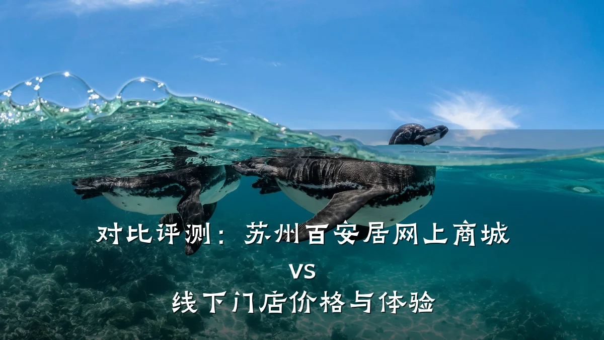 对比评测:苏州百安居网上商城 vs 线下门店价格与体验