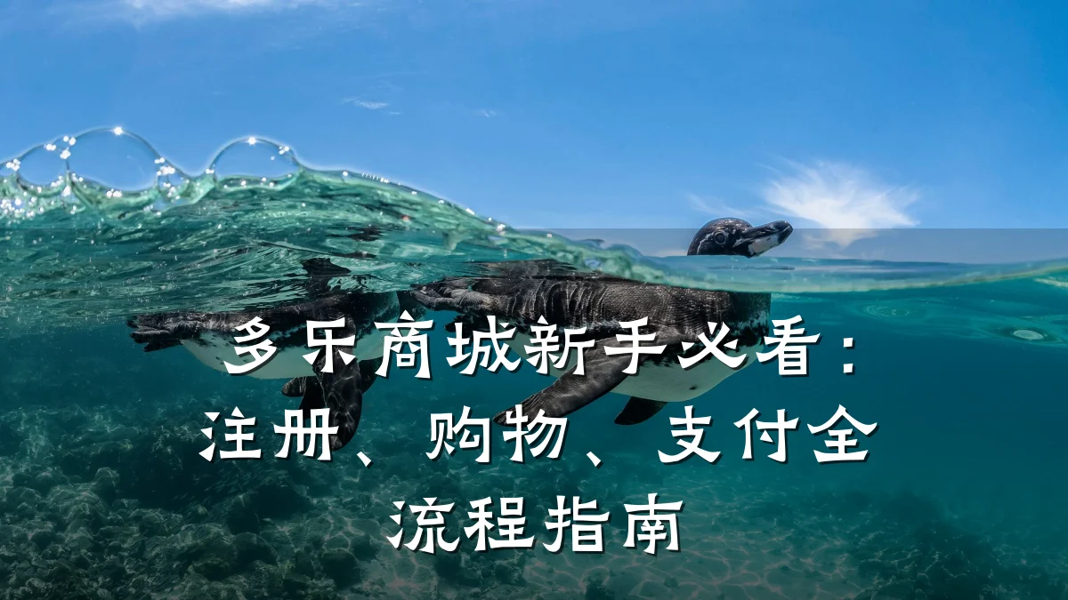 多乐商城新手必看:注册、购物、支付全流程指南