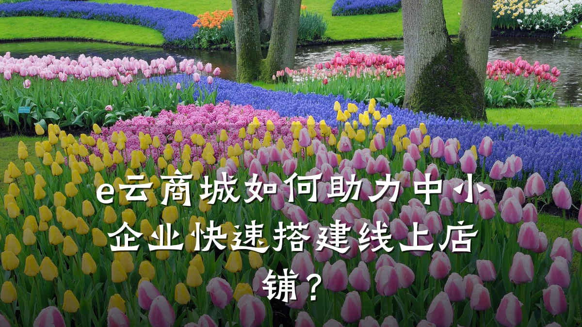 e云商城如何助力中小企业快速搭建线上店铺？