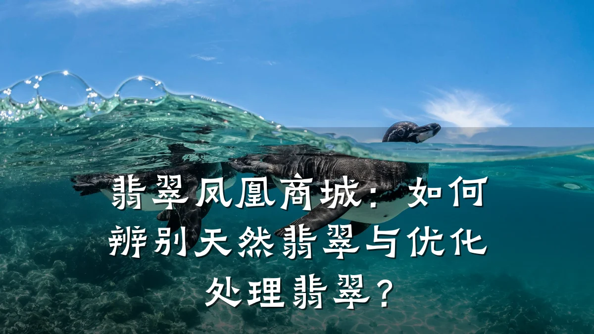 翡翠凤凰商城:如何辨别天然翡翠与优化处理翡翠?