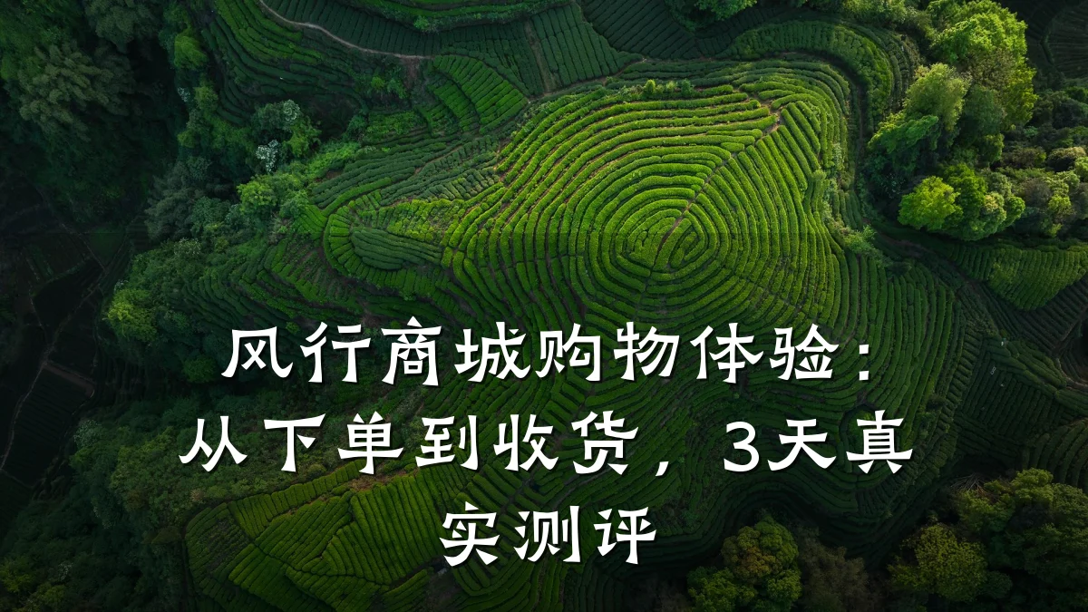 风行商城购物体验：从下单到收货，3天真实测评