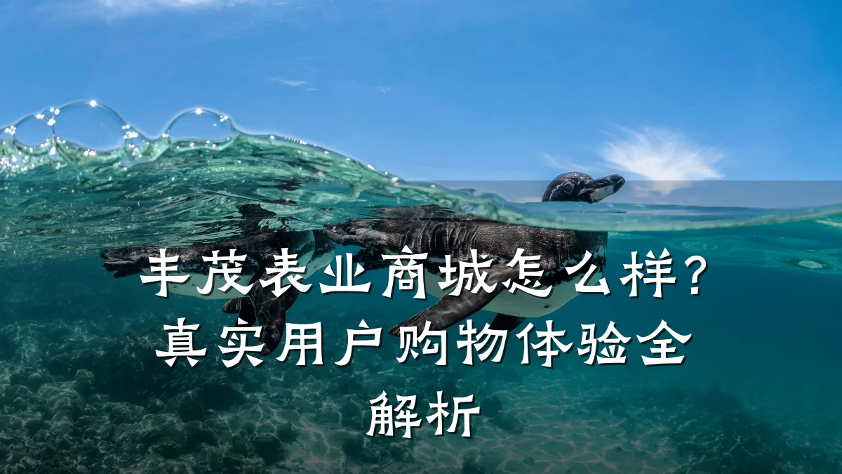 丰茂表业商城怎么样？真实用户购物体验全解析
