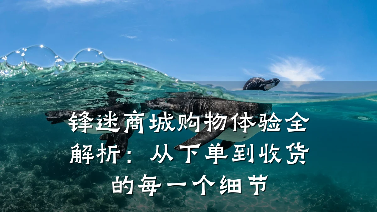 锋迷商城购物体验全解析:从下单到收货的每一个细节
