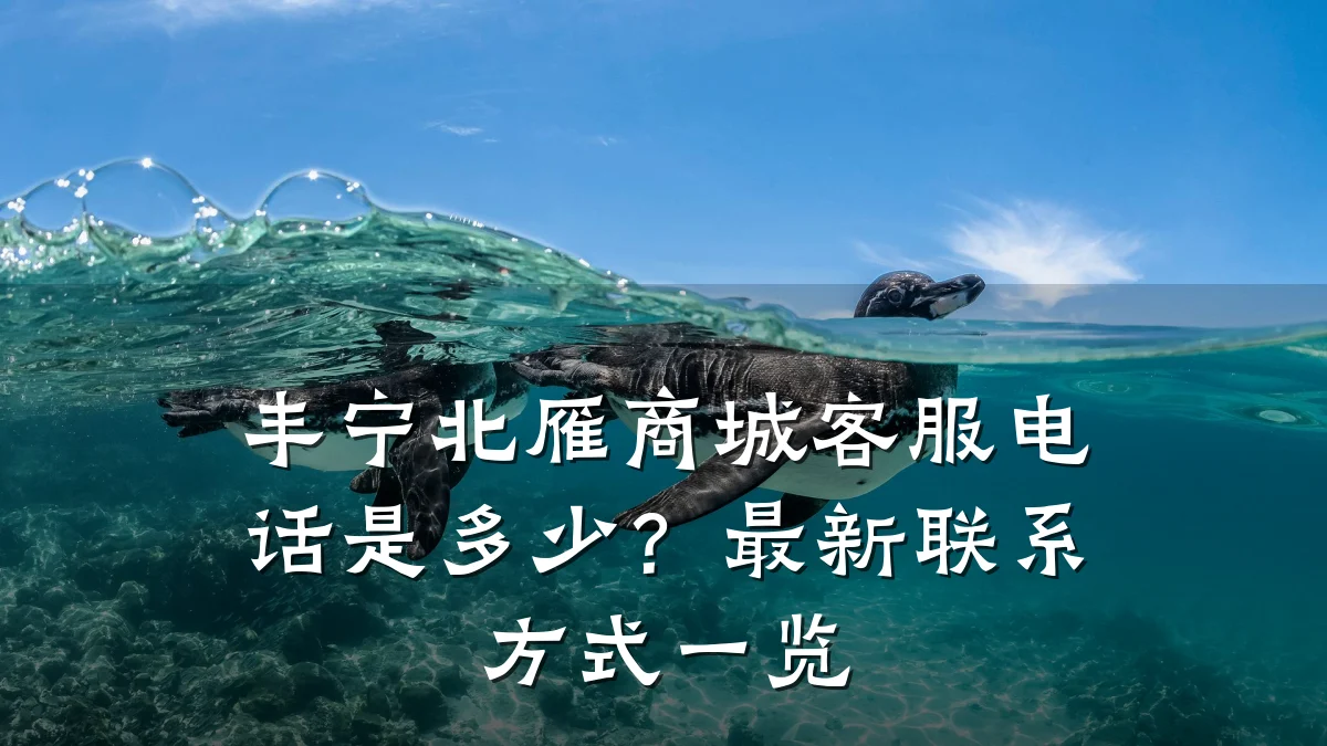 丰宁北雁商城客服电话是多少?最新联系方式一览