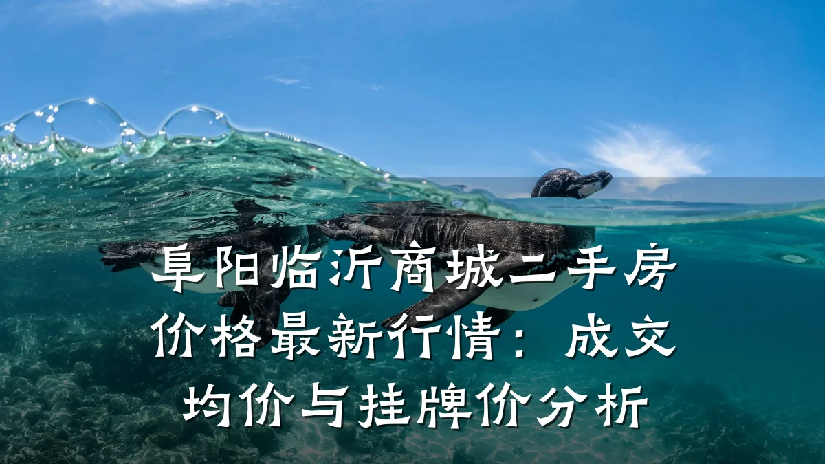 阜阳临沂商城二手房价格最新行情:成交均价与挂牌价分析