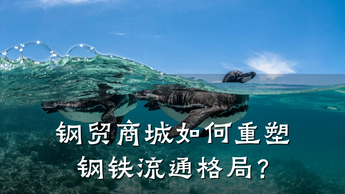 钢贸商城如何重塑钢铁流通格局?