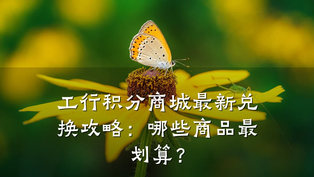 工行积分商城最新兑换攻略：哪些商品最划算？