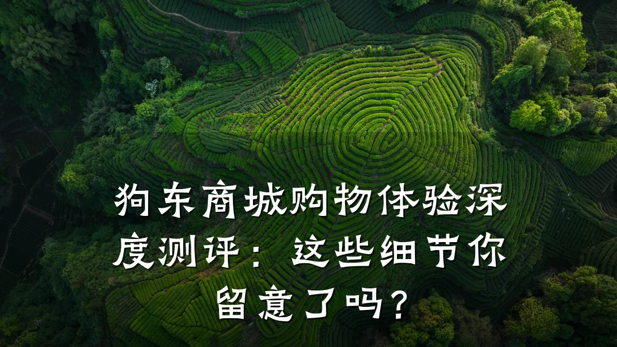 狗东商城购物体验深度测评:这些细节你留意了吗?