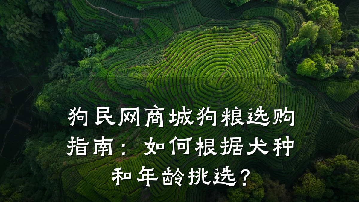狗民网商城狗粮选购指南:如何根据犬种和年龄挑选?