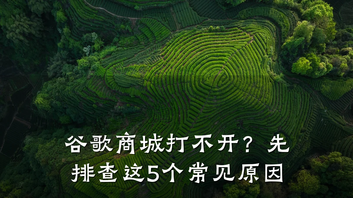 谷歌商城打不开?先排查这5个常见原因