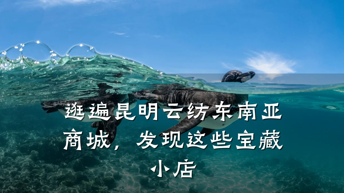 逛遍昆明云纺东南亚商城，发现这些宝藏小店