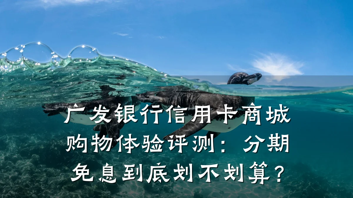 广发银行信用卡商城购物体验评测:分期免息到底划不划算?