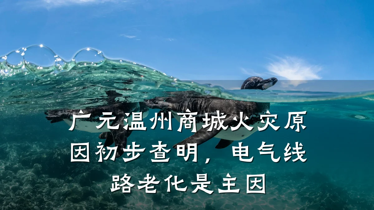广元温州商城火灾原因初步查明,电气线路老化是主因