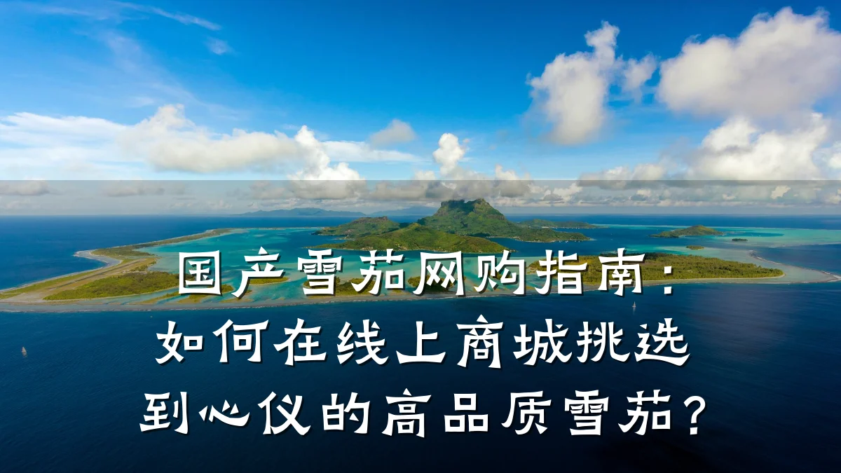 国产雪茄网购指南:如何在线上商城挑选到心仪的高品质雪茄?