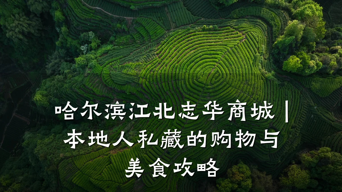 哈尔滨江北志华商城|本地人私藏的购物与美食攻略