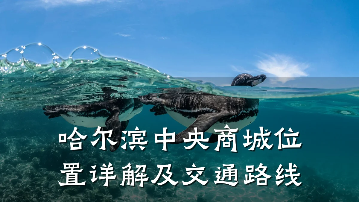 哈尔滨中央商城位置详解及交通路线