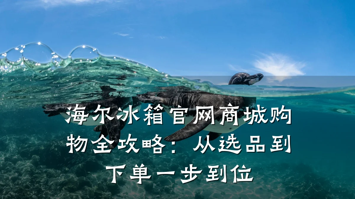 海尔冰箱官网商城购物全攻略:从选品到下单一步到位