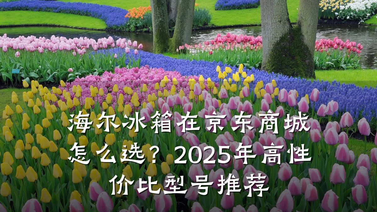 海尔冰箱在京东商城怎么选？2025年高性价比型号推荐