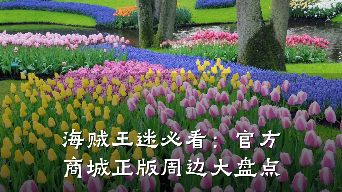 海贼王迷必看：官方商城正版周边大盘点