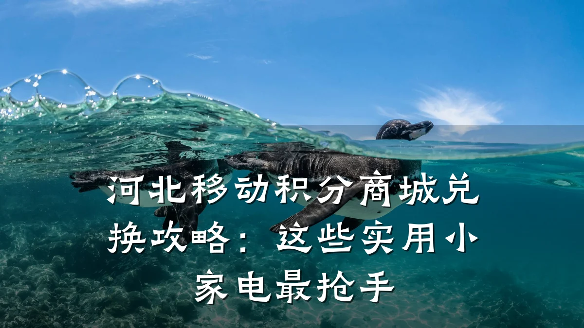 河北移动积分商城兑换攻略:这些实用小家电最抢手