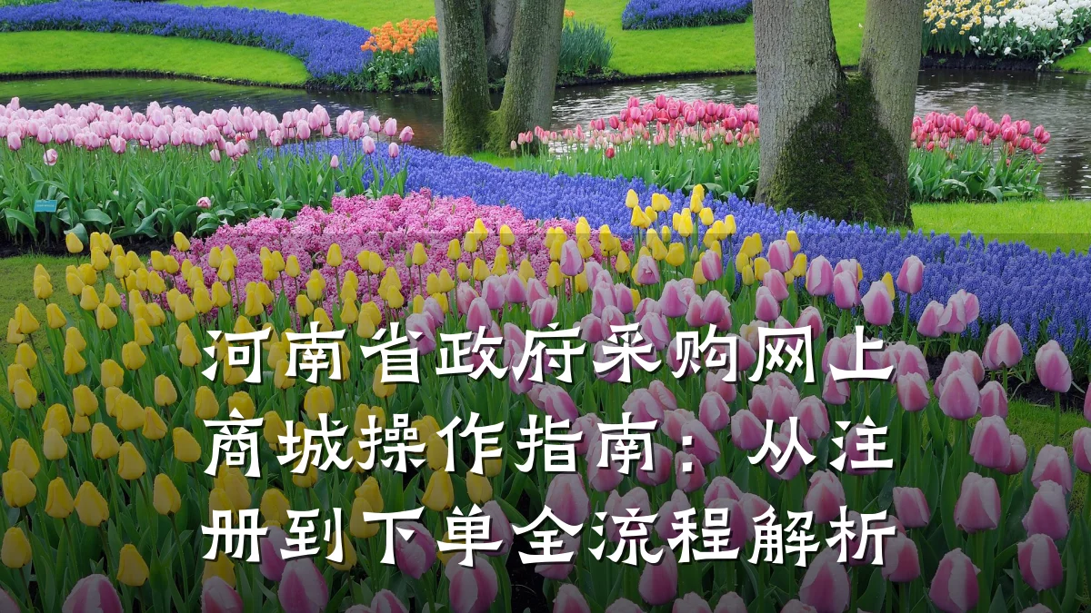 河南省政府采购网上商城操作指南：从注册到下单全流程解析