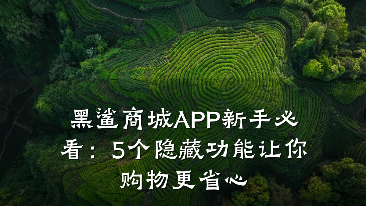 黑鲨商城APP新手必看:5个隐藏功能让你购物更省心