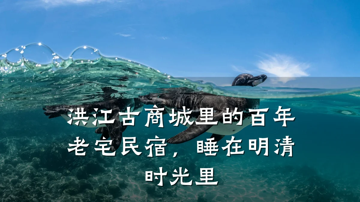 洪江古商城里的百年老宅民宿，睡在明清时光里