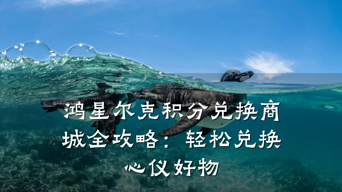 鸿星尔克积分兑换商城全攻略:轻松兑换心仪好物
