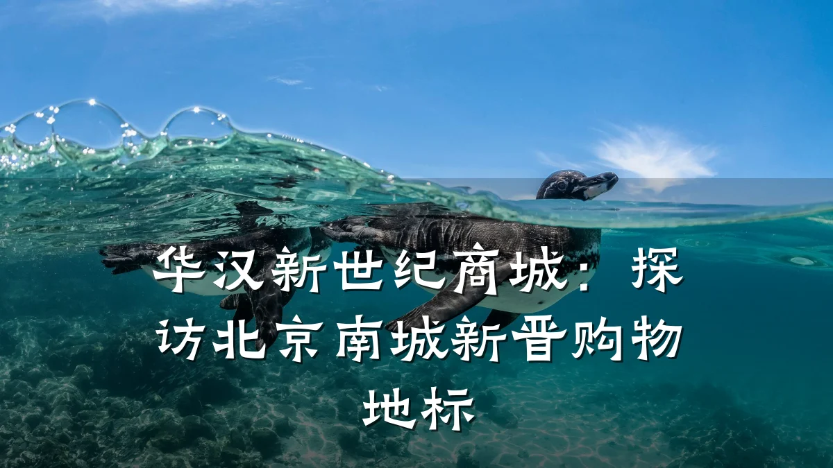 华汉新世纪商城:探访北京南城新晋购物地标