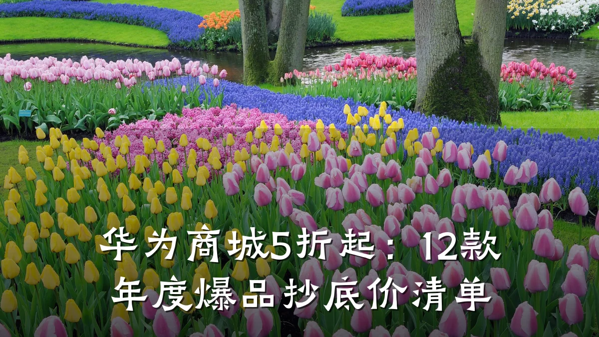 华为商城5折起:12款年度爆品抄底价清单