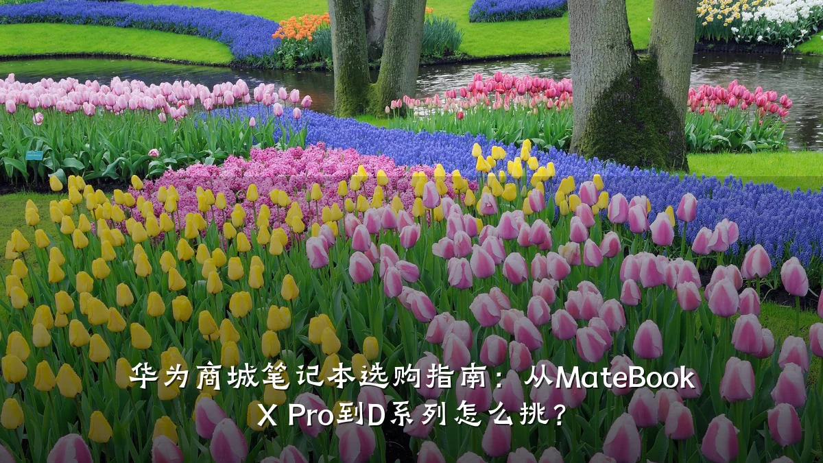 华为商城笔记本选购指南:从MateBook X Pro到D系列怎么挑?