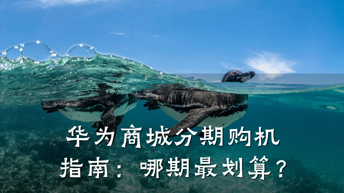 华为商城分期购机指南:哪期最划算?