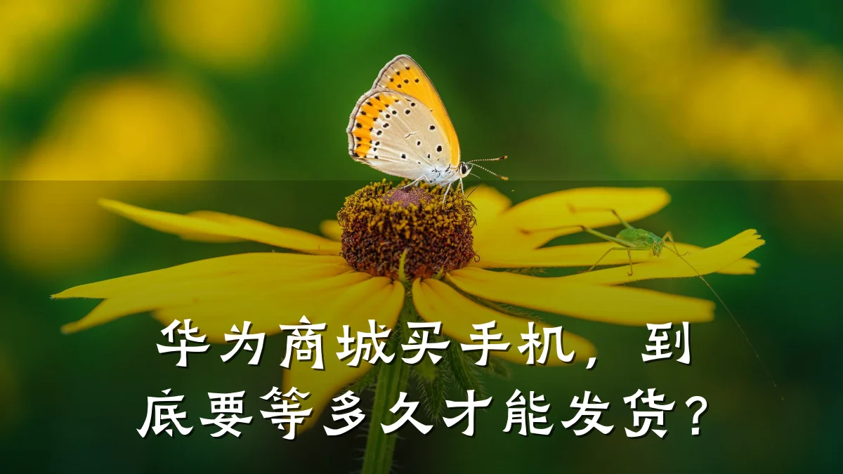 华为商城买手机,到底要等多久才能发货?