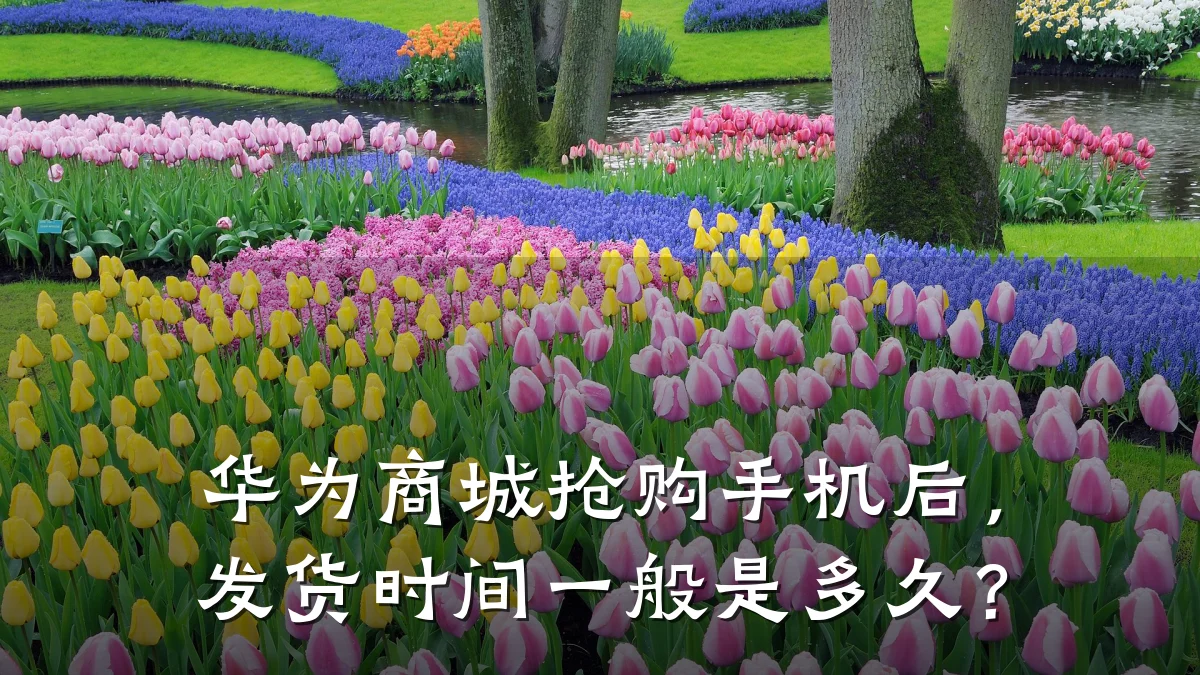 华为商城抢购手机后,发货时间一般是多久?