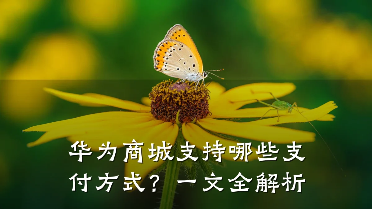 华为商城支持哪些支付方式?一文全解析