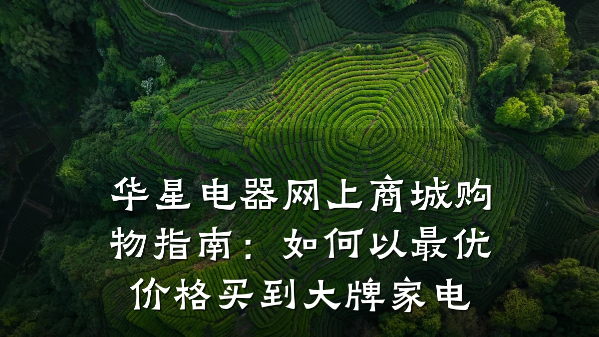 华星电器网上商城购物指南:如何以最优价格买到大牌家电