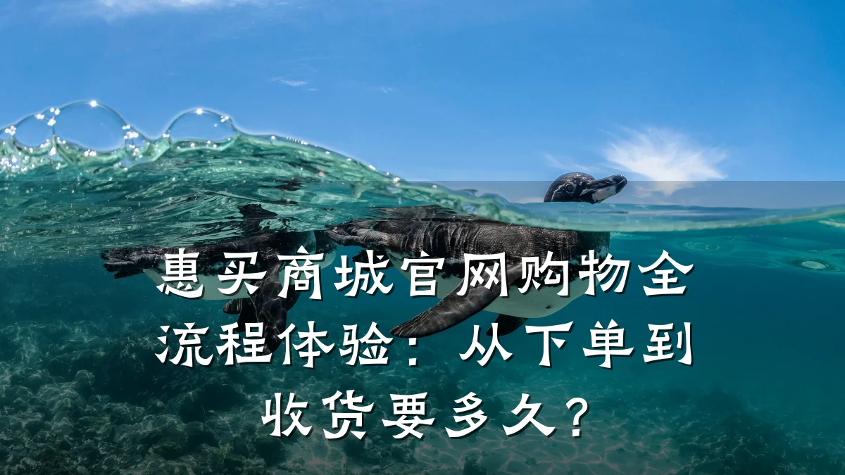 惠买商城官网购物全流程体验:从下单到收货要多久?